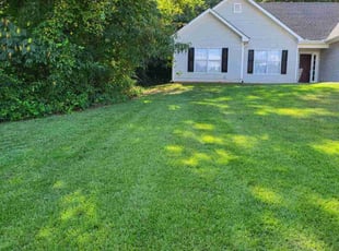 Adonaka H.'s lawn care services service result