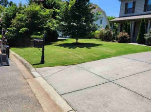Laronda S.'s lawn service service result