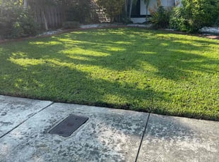 Kevin D.'s lawn maintenance service result