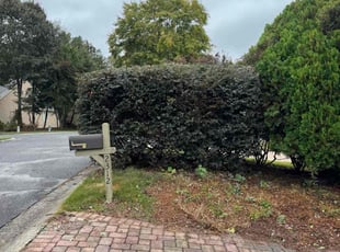 Ruben G.'s Bush Trimming service result