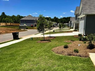 Roy H.'s turf maintenance service result