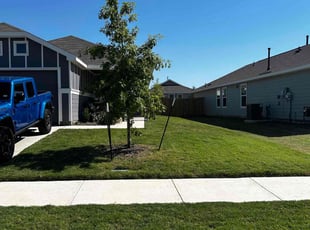 Erica L.'s lawn service service result