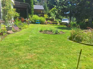 Joseph M.'s grass cutting service result