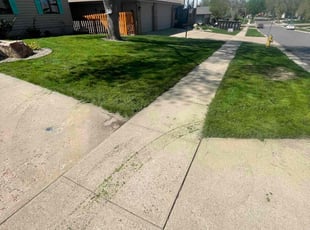 Randy L.'s turf maintenance service result