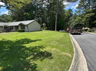 Ebony H.'s turf care service result