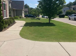 Kayla C.'s lawn care service result