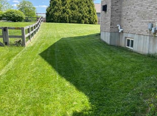 Linda M.'s grass maintenance service result