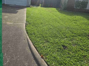 Brandon M.'s lawn service service result
