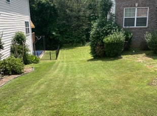 Jp M.'s grass cutting service result