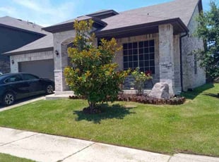 Khalia L.'s turf maintenance service result