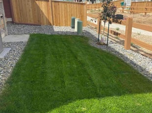 David I.'s lawn care service result