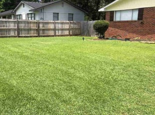 Carl P.'s lawn care services service result