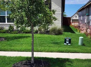 Kourtney M.'s grass cutting service result