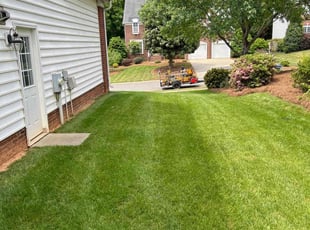 Karen R.'s turf maintenance service result