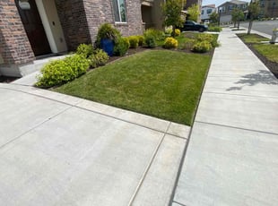Jennifer H.'s lawn service service result