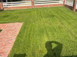 Ed T.'s lawn service service result