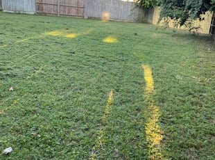 Rob C.'s lawn care services service result