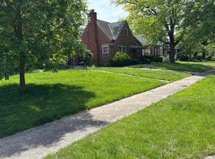 Ryan S.'s turf care service result