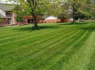 Annie M.'s lawn care services service result