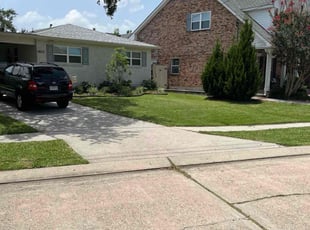 Daniel B.'s lawn service service result