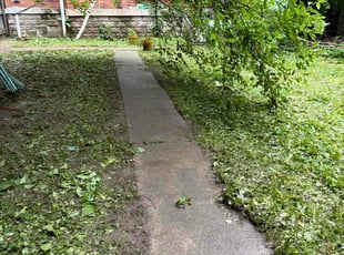 Gretchen W.'s grass cutting service result