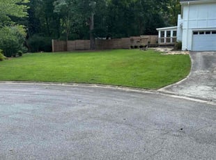 Frank C.'s turf maintenance service result