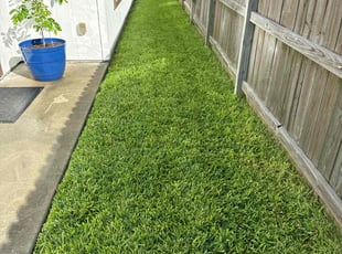 Raven k.'s grass cutting service result