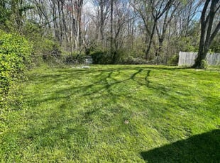 Marcus A.'s lawn service service result