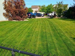 Elizabeth C.'s lawn care service result