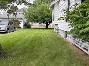 Mai D.'s grass maintenance service result
