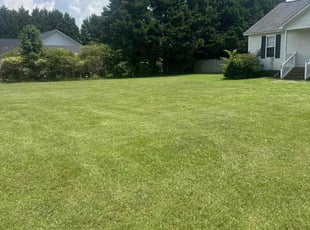 Lorenzo C.'s grass cutting service result
