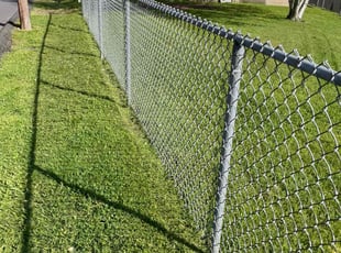 Janelle L.'s grass cutting service result