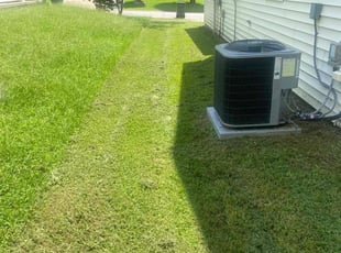 Junior S.'s turf care service result