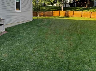Colleen O.'s lawn service service result