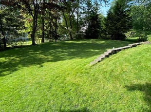 Patricia R.'s grass maintenance service result