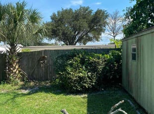 Sarah V.'s Bush Trimming service result