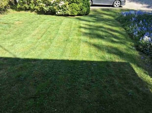 Kim M.'s lawn care service result