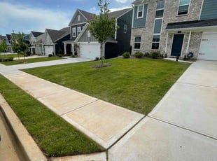 Ruth M.'s grass cutting service result