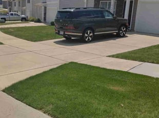 William H.'s lawn care services service result