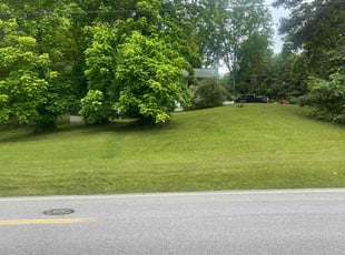 Brenda U.'s grass cutting service result
