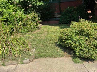 Zach C.'s lawn service service result