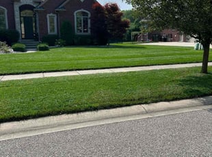 Aaron G.'s turf care service result