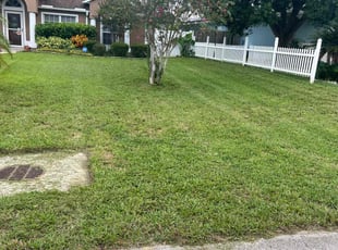 Tracy G.'s turf care service result