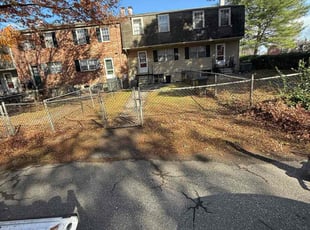 Harriet H.'s Leaf Removal service result