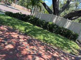 Lorraine D.'s turf care service result