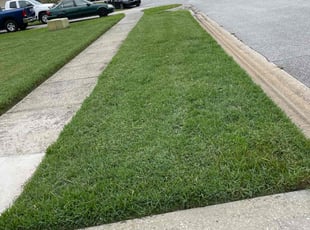 Tin M.'s lawn care service result