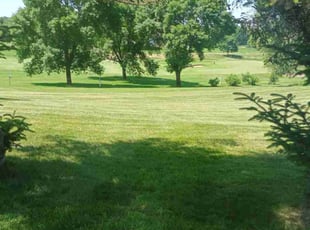 Jeanie Z.'s grass cutting service result