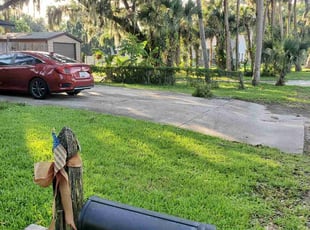 Sarah W.'s grass cutting service result