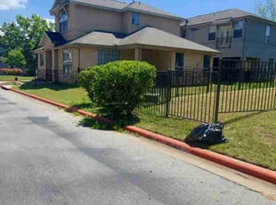 Jackie F.'s grass maintenance service result