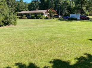 Brittany N.'s lawn maintenance service result